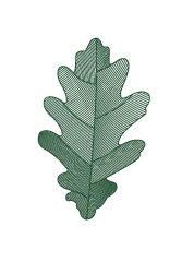 alison baudusseau logo